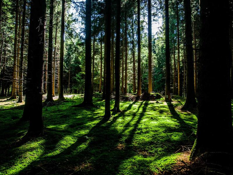 光之教堂<br>lyv4augd.cn 安藤忠雄十字架